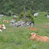 Familienwochenende Wurzeralm